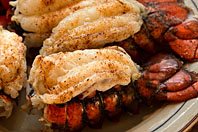Lobster Tails