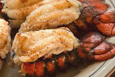 North Atlantic Lobster