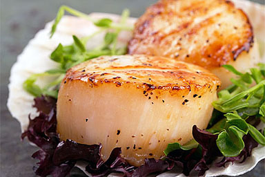 Weathervane Scallops